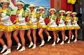 P_Party2011   007